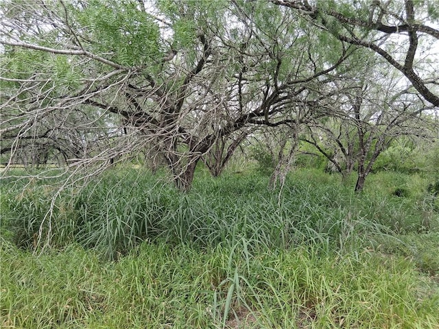 0 Lake Country Dr, Mathis, TX 78368 - photo 3