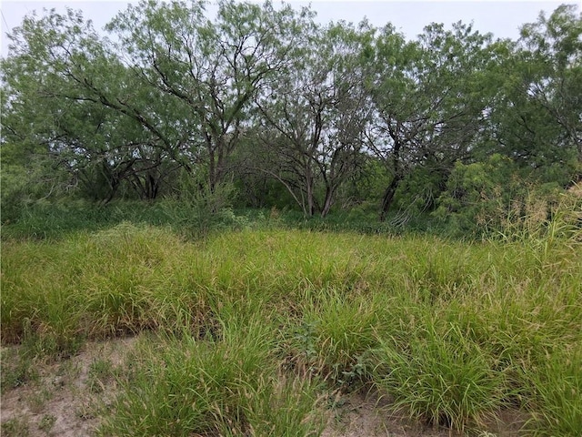 0 Lake Country Dr, Mathis, TX 78368 - photo 10