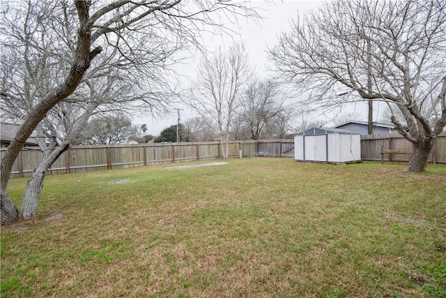 view of yard with a storage unit