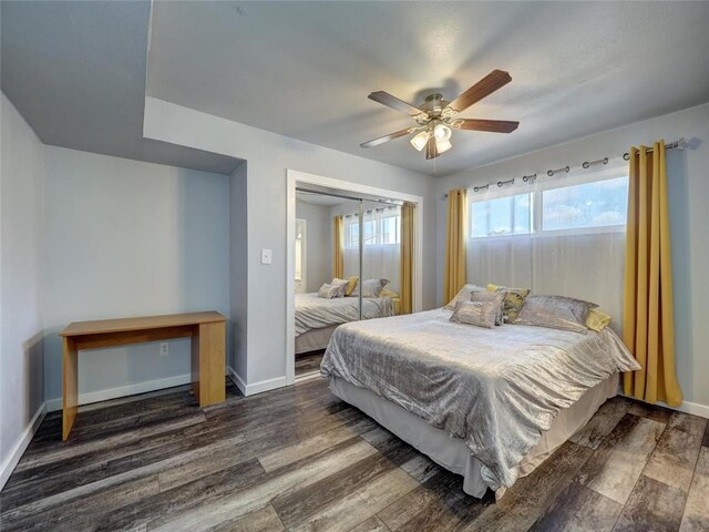 bedroom featuring ceiling fan, dark hardwood / wood-style floors, and a closet