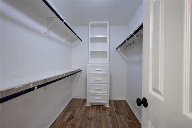 walk in closet featuring hardwood / wood-style flooring