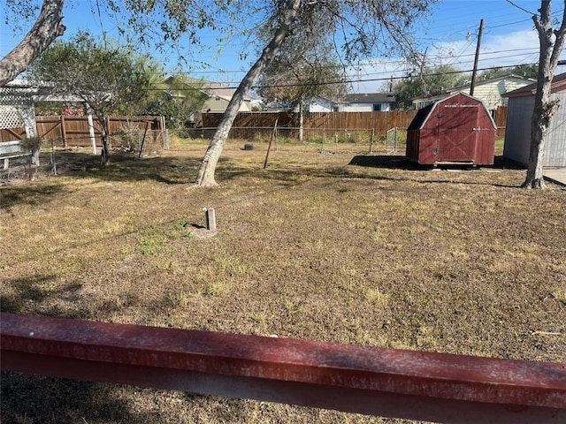 view of yard featuring a shed