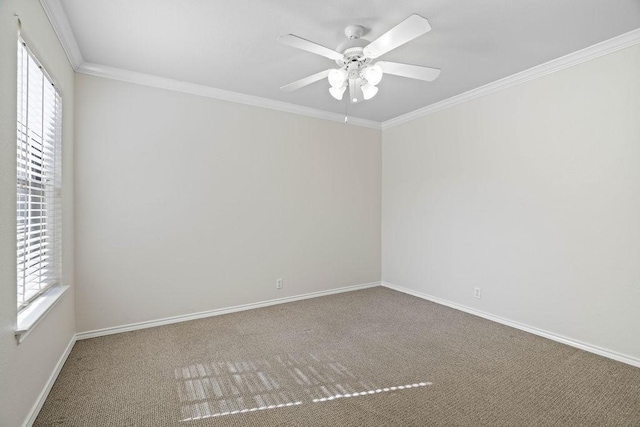 carpeted empty room featuring crown molding and ceiling fan