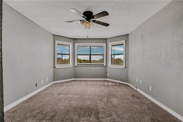 389 County Road 3075, Orange Grove, TX 78372 - photo 10