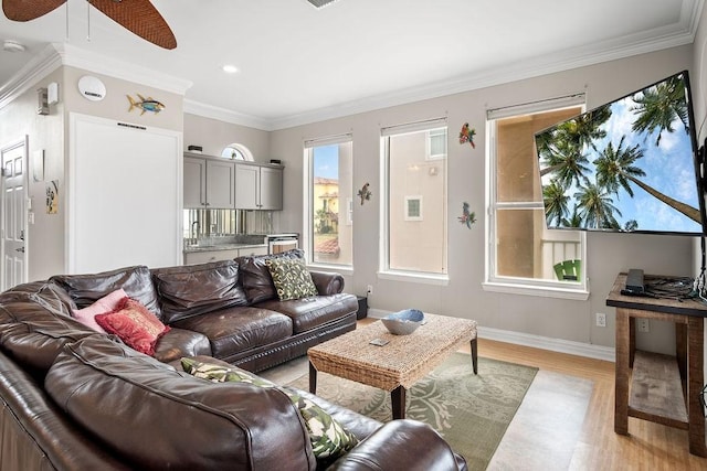 living room featuring light hardwood / wood-style flooring, ornamental molding, and ceiling fan