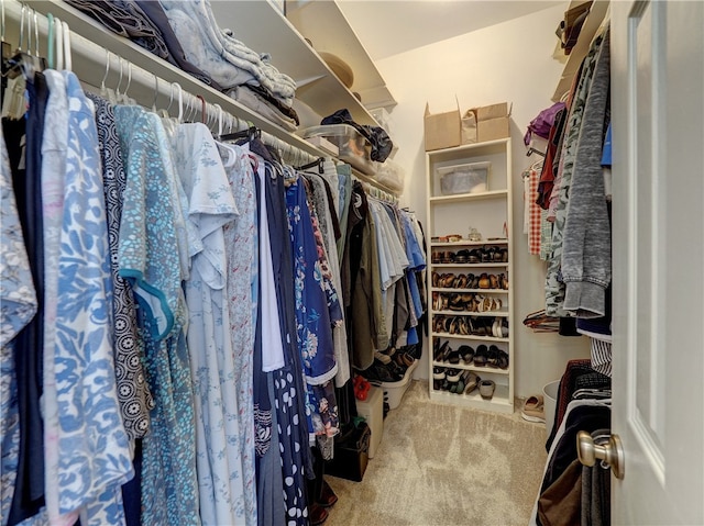 spacious closet featuring carpet