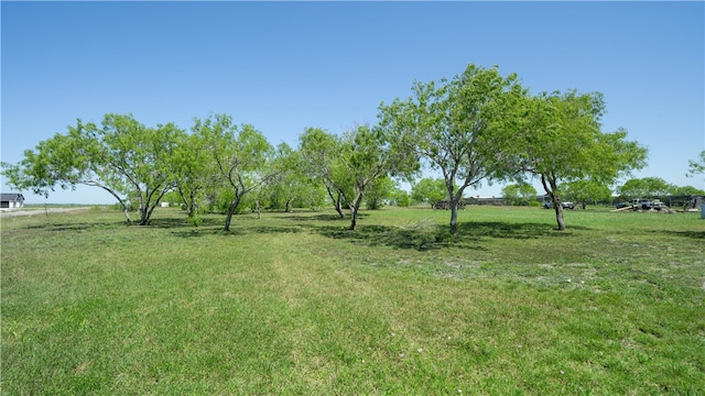 view of yard featuring a rural view