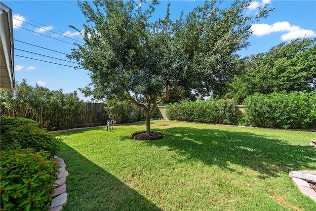 305 Circle Dr, Corpus Christi, TX 78412 - view of yard