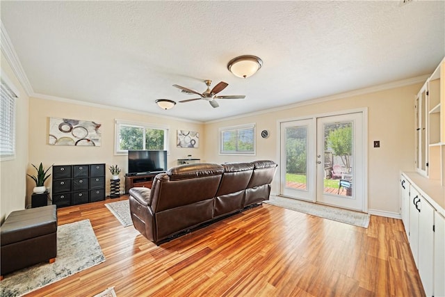 305 Circle Dr, Corpus Christi, TX 78412 - living room with light wood-style floors, crown molding, a ceiling fan, baseboards, and a textured ceiling