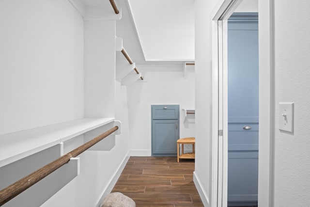 walk in closet featuring dark hardwood / wood-style flooring