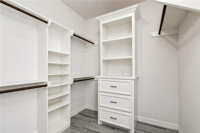 spacious closet featuring light wood-style flooring