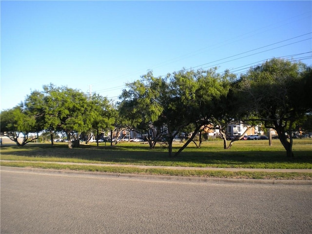 2418 Capitan Dr, Corpus Christi, TX 78414 - photo 25