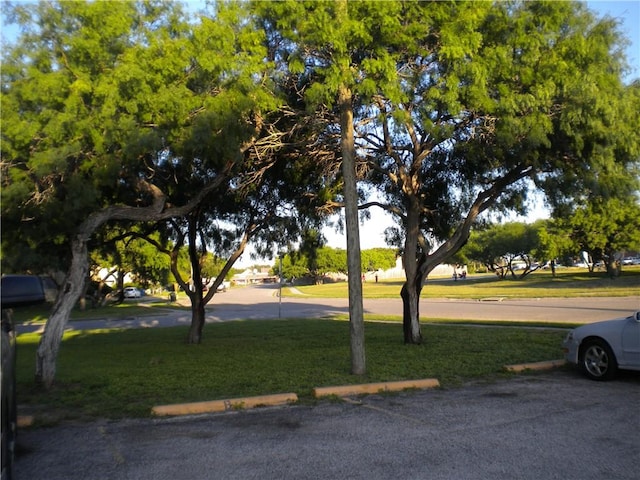 2418 Capitan Dr, Corpus Christi, TX 78414 - photo 2