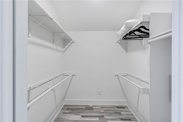 walk in closet with wood-type flooring