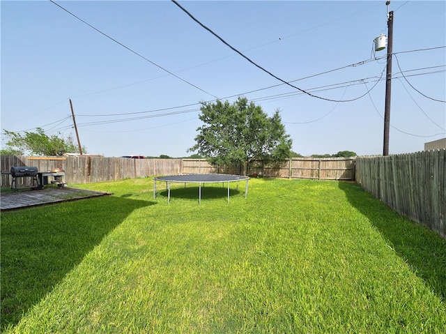 view of yard with a patio area and a trampoline