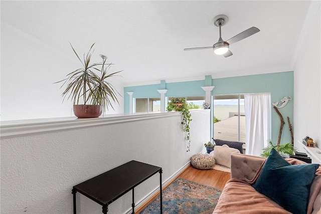 living room with ceiling fan and wood-type flooring