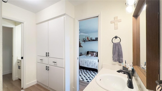 bathroom featuring hardwood / wood-style floors and vanity