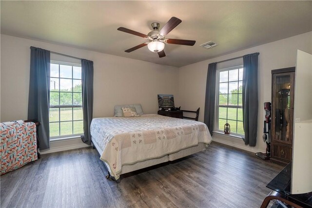 11766 Fm 70, Robstown, TX 78380 - bedroom featuring dark wood-style flooring, multiple windows, and a ceiling fan