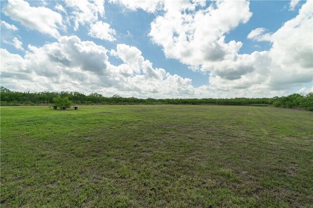 11766 Fm 70, Robstown, TX 78380 - view of grassy yard featuring a view of countryside