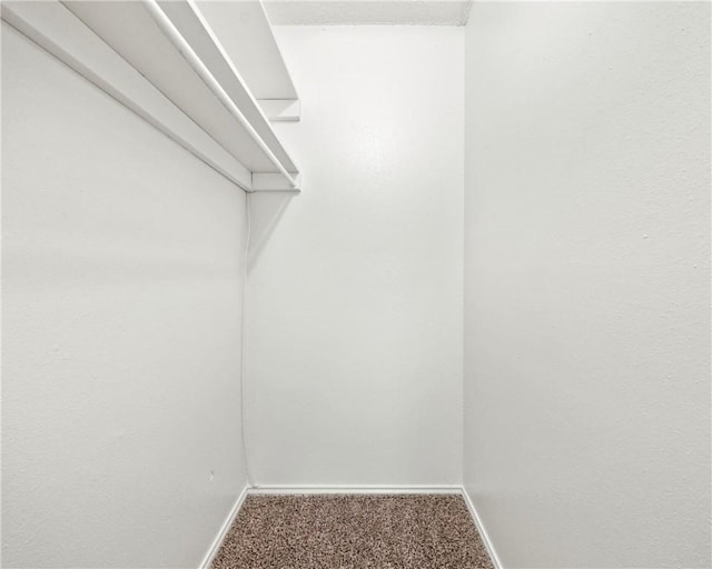 spacious closet with carpet flooring