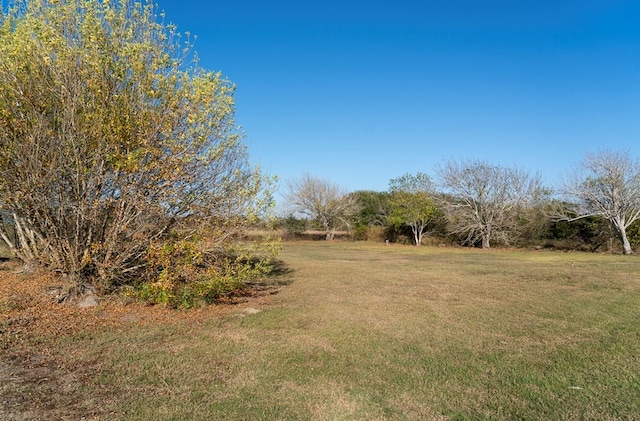 view of yard with a rural view