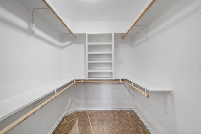 walk in closet featuring carpet flooring