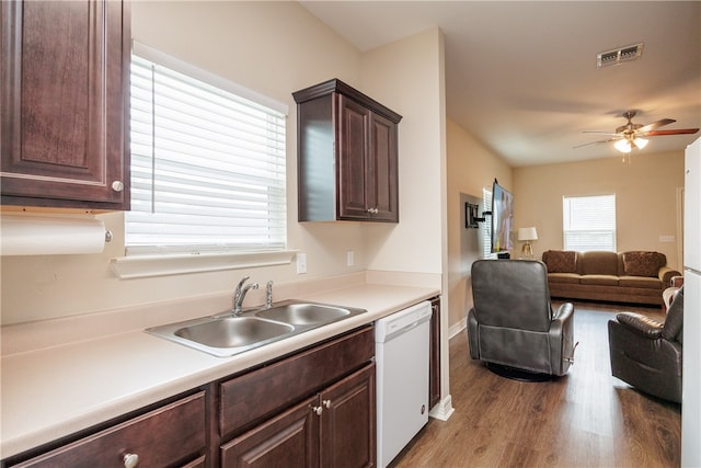 kitchen featuring ceiling fan, sink, light hardwood / wood-style flooring, white dishwasher, and dark brown cabinets