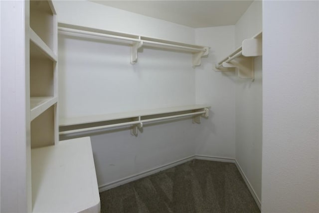 spacious closet featuring carpet