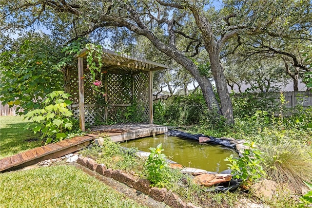 view of yard with a garden pond