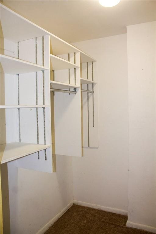 33 Encino Loma, Beeville, TX 78102 - spacious closet with dark carpet