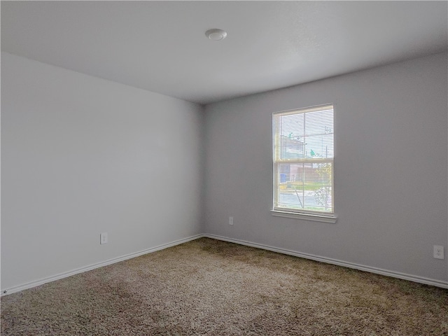 spare room featuring carpet