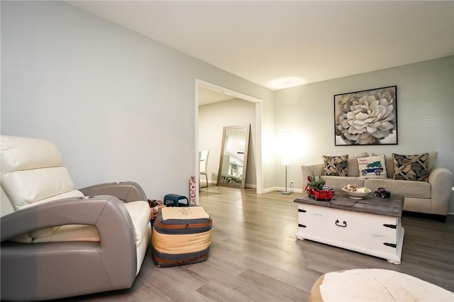 living room with wood-type flooring