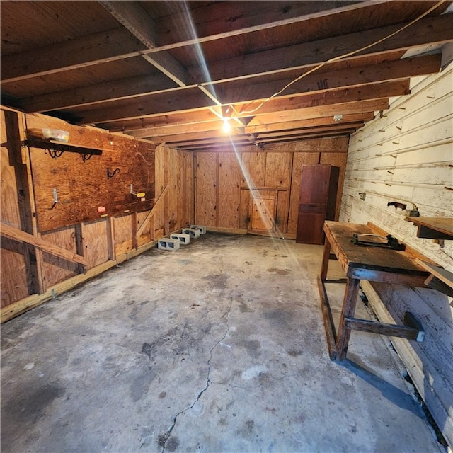 basement with wood walls