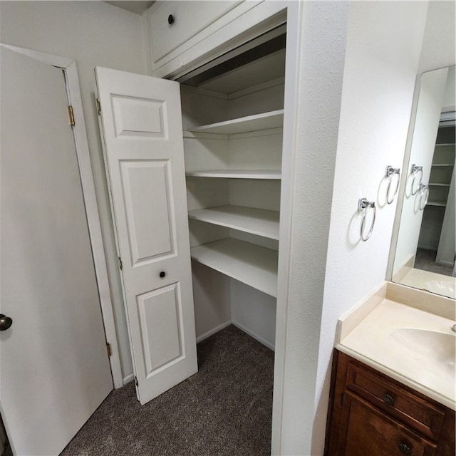 bathroom with a walk in closet and vanity