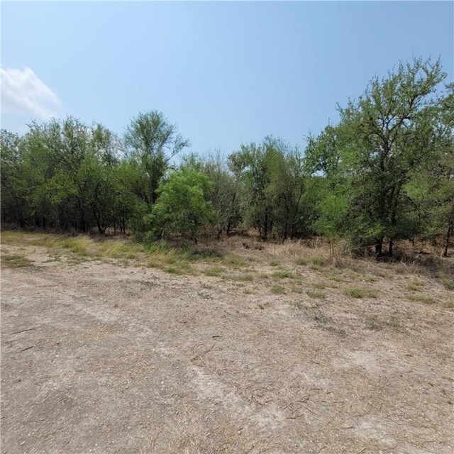120 W County Road 362, Sandia, TX 78383 - photo 2