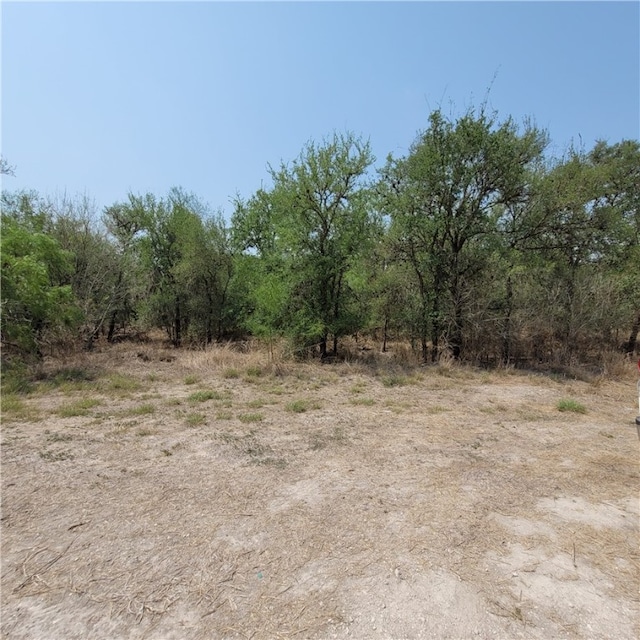 120 W County Road 3621, Sandia TX, 78383 land for sale