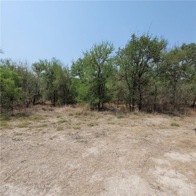 120 W County Road 362, Sandia, TX 78383 - photo 1