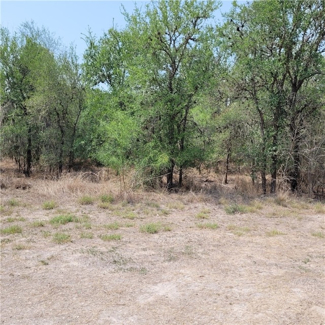 Listing photo 3 for 120 W County Road 3621, Sandia TX 78383