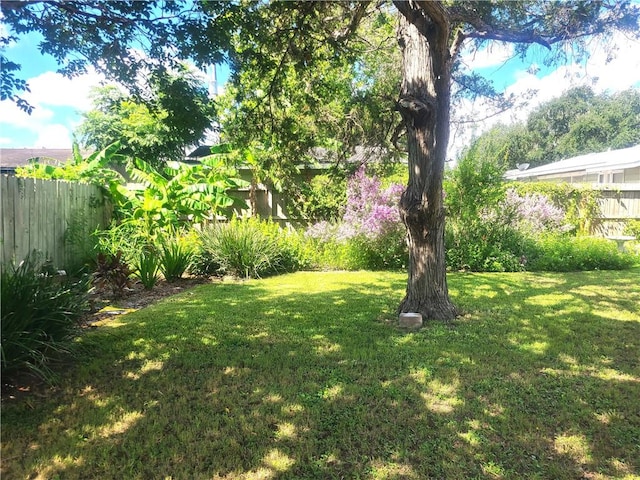 4114 Lowman St, Corpus Christi, TX 78411 - view of yard
