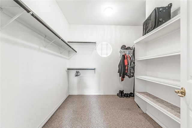 spacious closet with carpet