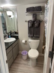 bathroom featuring toilet, vanity, and wood-type flooring