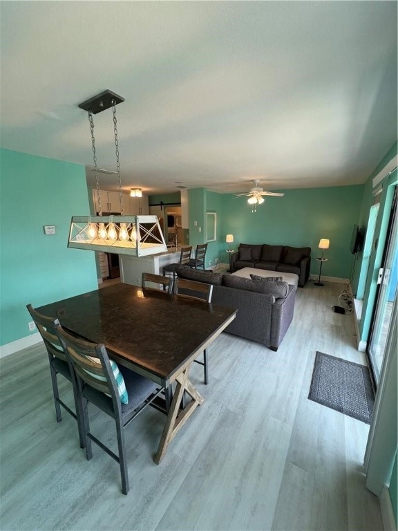 dining room with ceiling fan and light hardwood / wood-style flooring