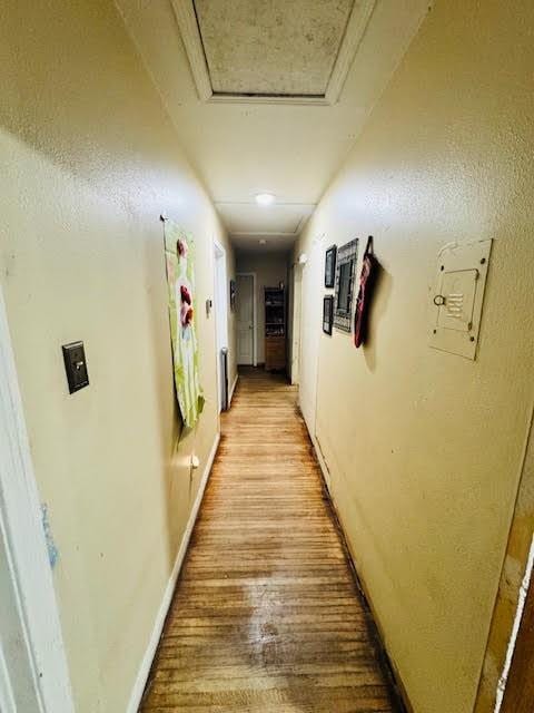 corridor with light hardwood / wood-style floors