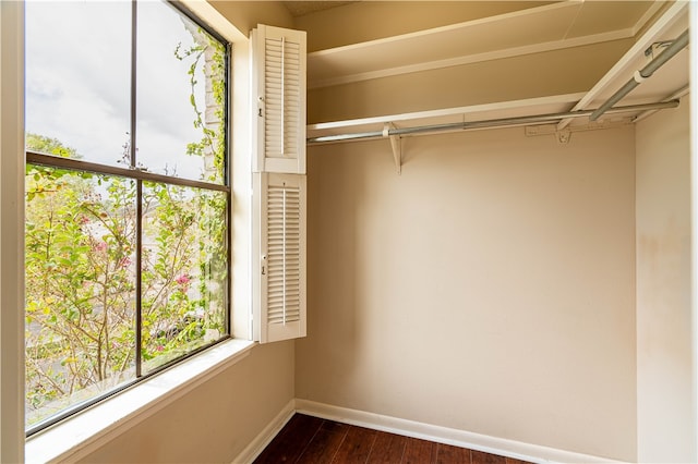 walk in closet with dark hardwood / wood-style floors