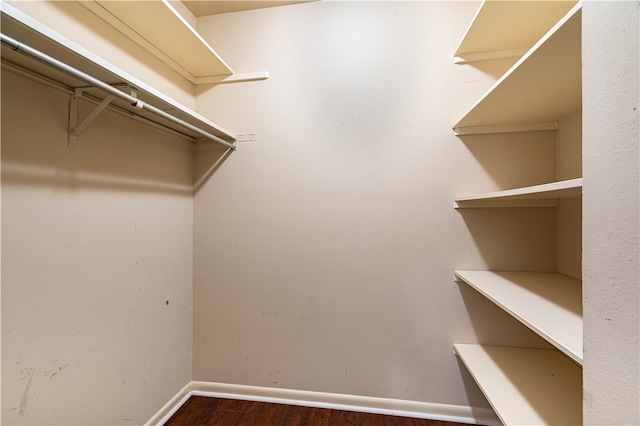 spacious closet with dark hardwood / wood-style flooring