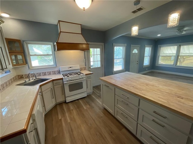 3662 Monterrey, Corpus Christi, TX 78411 - kitchen with white range with gas cooktop, butcher block counters, custom range hood, dark wood finished floors, and plenty of natural light