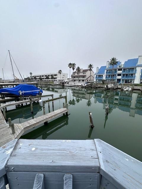 dock area with a water view