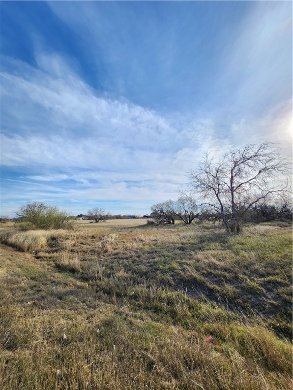 Listing photo 3 for 0 County Road 2567, Sinton TX 78387