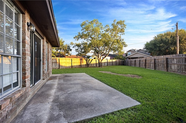 view of yard featuring a patio area