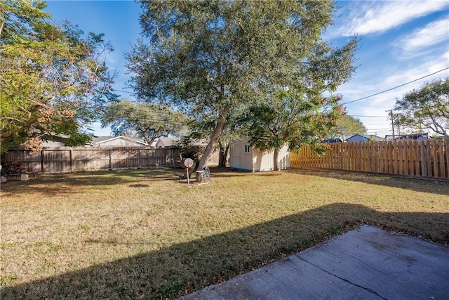 view of yard featuring a storage unit